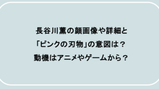 長谷川薫の顔画像や詳細と「ピンクの刃物」の意図は？動機はアニメやゲームから？
