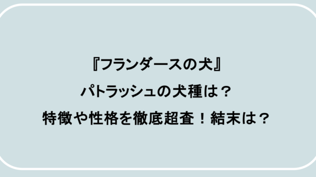 『フランダースの犬』パトラッシュの犬種は?特徴や性格を徹底超査!結末は?