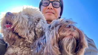 キムタクが飼っている犬の犬種は？愛犬家すぎて犬アカも！何匹いる？