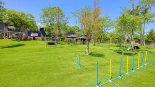 ドッグランで嫌われる犬種は？避けるべき行動やしつけのポイントを解説