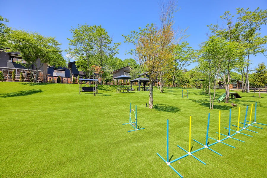 ドッグランで嫌われる犬種は?避けるべき行動やしつけのポイントを解説