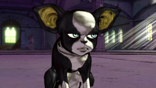 イギーの犬種は？性格や特徴を解説！ジョジョの犬と中身が似てる？