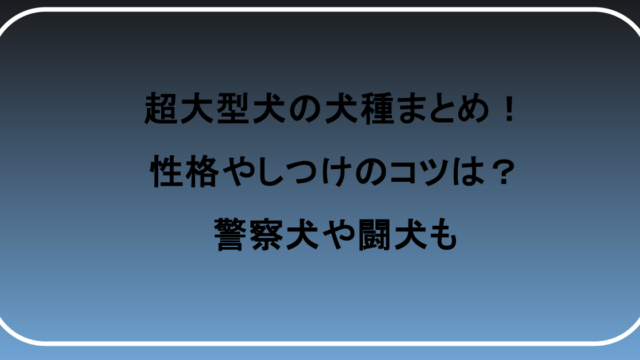 超大型犬の犬種まとめ！性格やしつけのコツは？警察犬や闘犬も