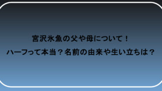 宮沢氷魚の父や母について！ハーフって本当？名前の由来や生い立ちは？