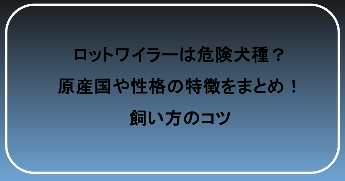ロットワイラーは危険犬種？原産国や性格の特徴をまとめ！飼い方のコツ
