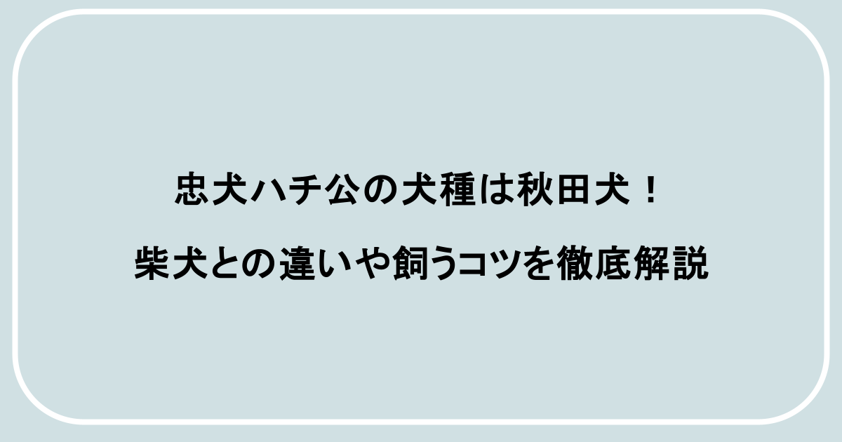 忠犬ハチ公の犬種は秋田犬！柴犬との違いや飼うコツを徹底解説