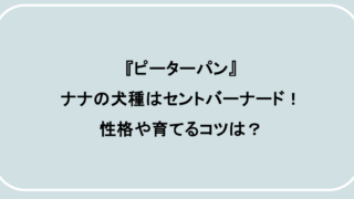 『ピーターパン』ナナの犬種はセントバーナード!性格や育てるコツは?