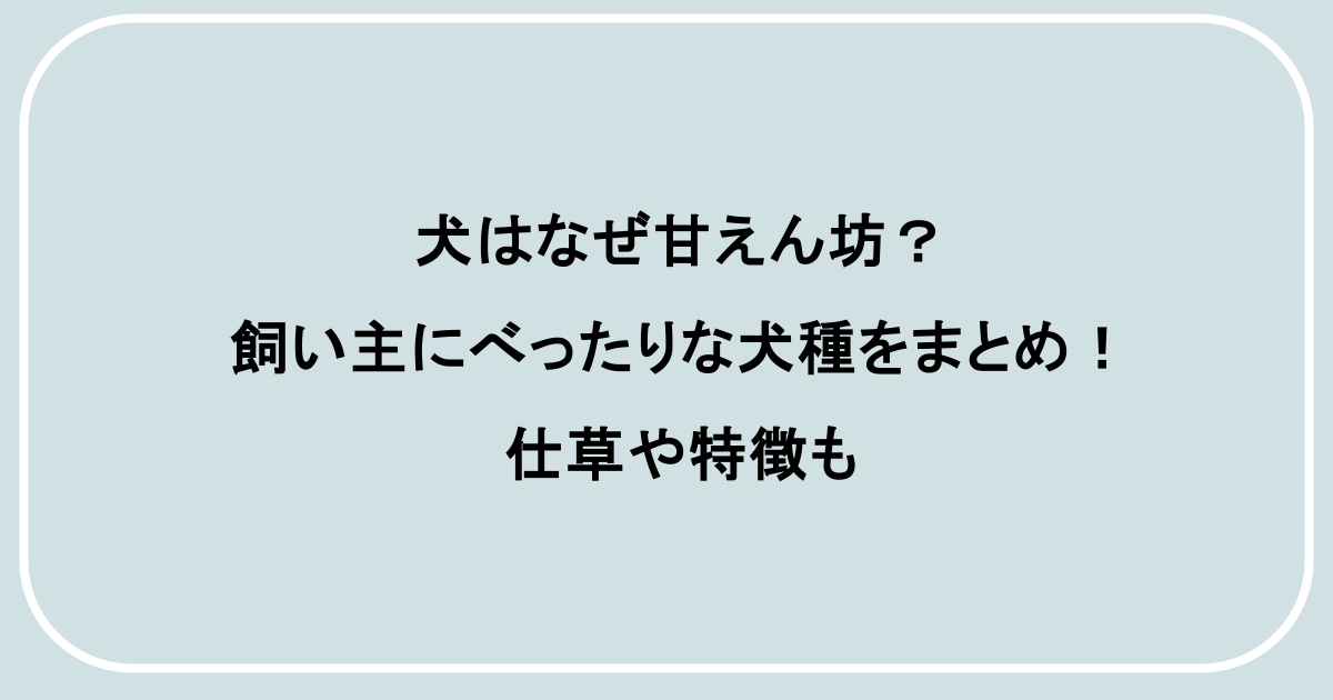 犬はなぜ甘えん坊？飼い主にべったりな犬種をまとめ！仕草や特徴も