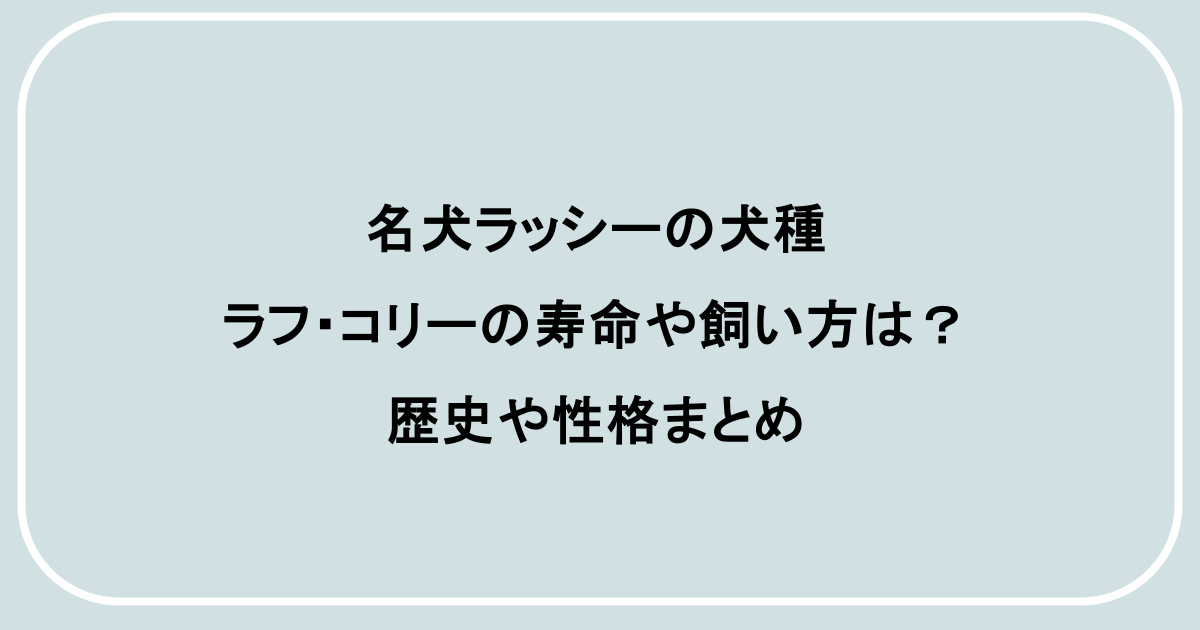 名犬ラッシーの犬種ラフ・コリーの寿命や飼い方は？歴史や性格まとめ