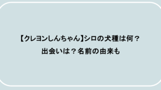 【クレヨンしんちゃん】シロの犬種は何？出会いは？名前の由来も
