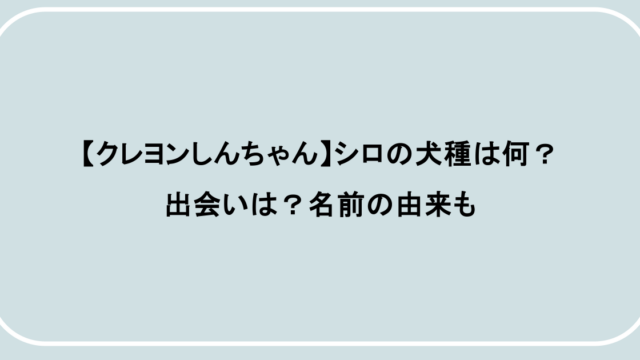 【クレヨンしんちゃん】シロの犬種は何？出会いは？名前の由来も