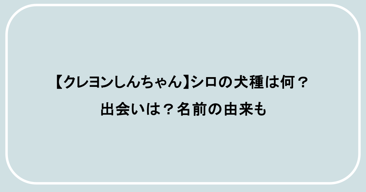 【クレヨンしんちゃん】シロの犬種は何？出会いは？名前の由来も