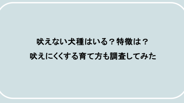 吠えない犬種はいる？特徴は？吠えにくくする育て方も調査してみた
