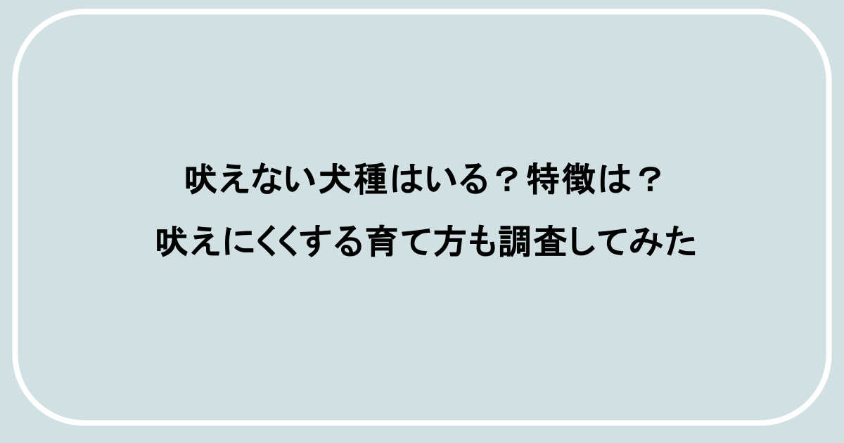 吠えない犬種はいる？特徴は？吠えにくくする育て方も調査してみた