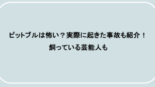 ピットブルは怖い？実際に起きた事故も紹介！飼っている芸能人も