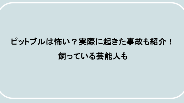 ピットブルは怖い？実際に起きた事故も紹介！飼っている芸能人も