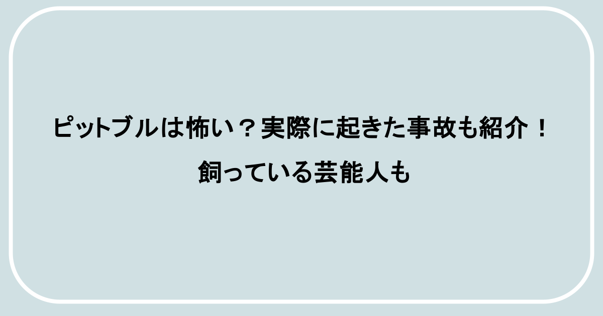 ピットブルは怖い？実際に起きた事故も紹介！飼っている芸能人も